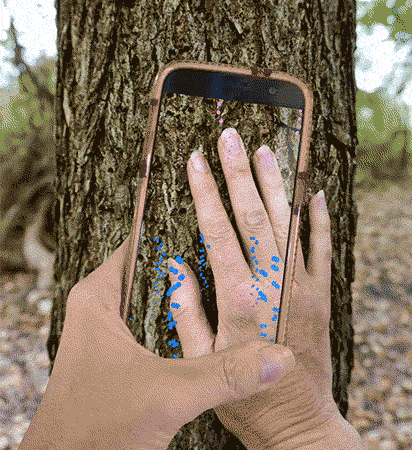 an animation of a phone scanning a tree with a hand on it