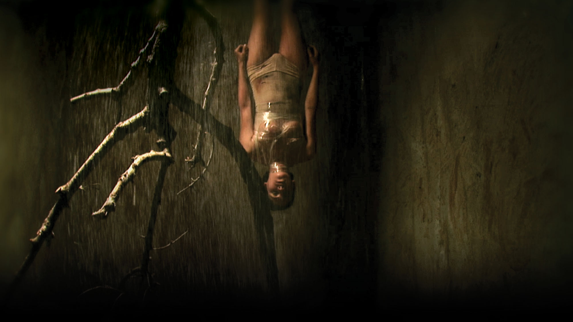 A woman hanging upside down in rain amongst a dead tree branch, lit in gold light. 