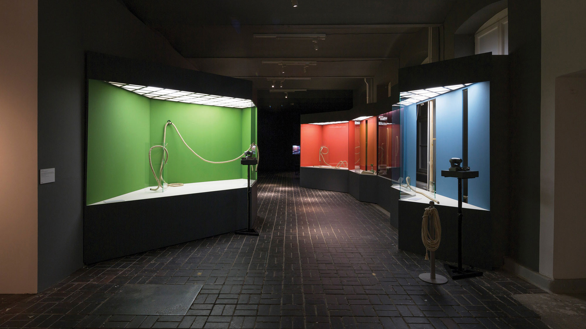 A hallway of seemingly empty museum exhibit cases, each with a green, blue, orange, or red background. 