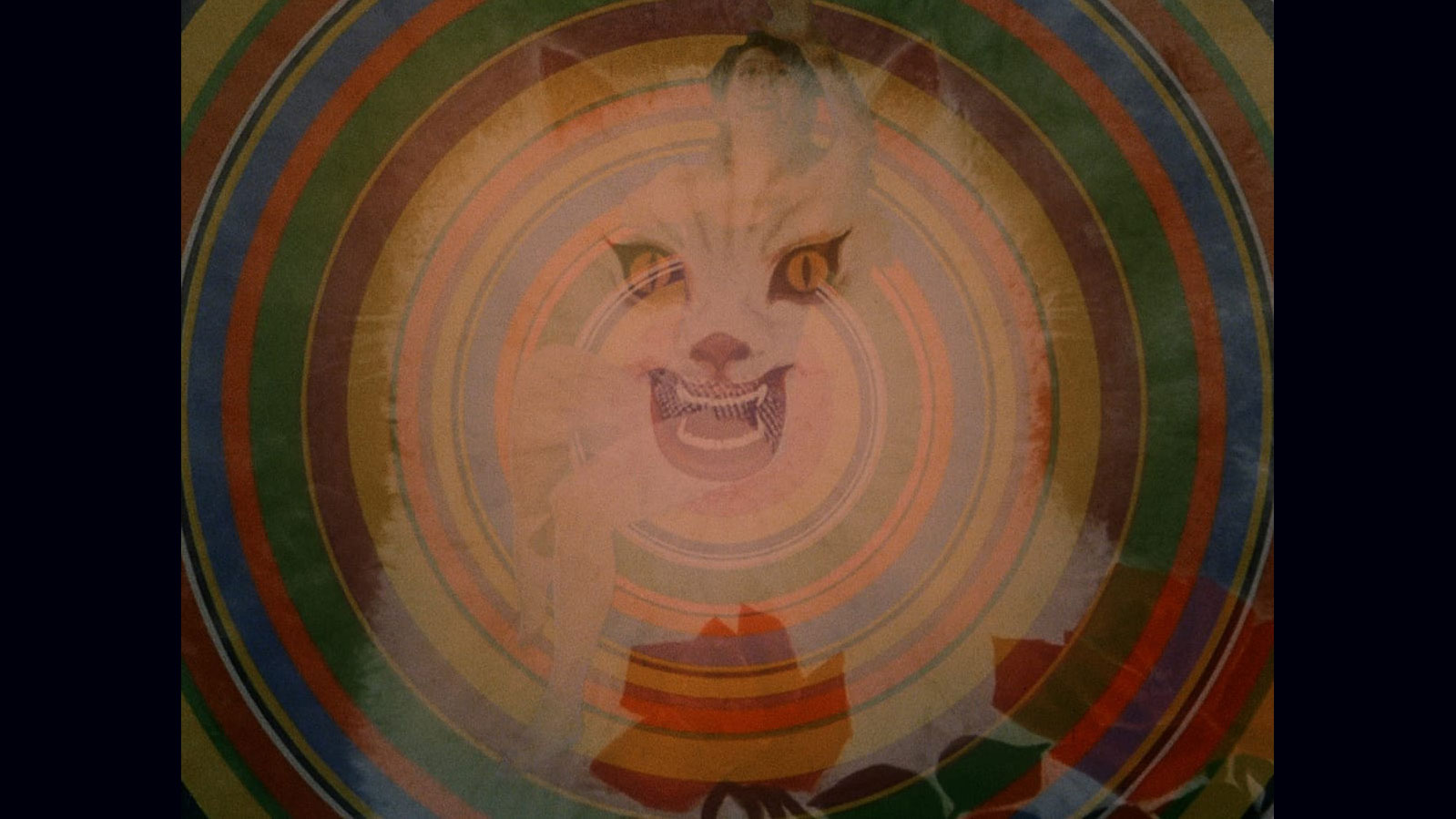 A rainbow bullseye with a cartoon cat and nude woman super imposed over top. 