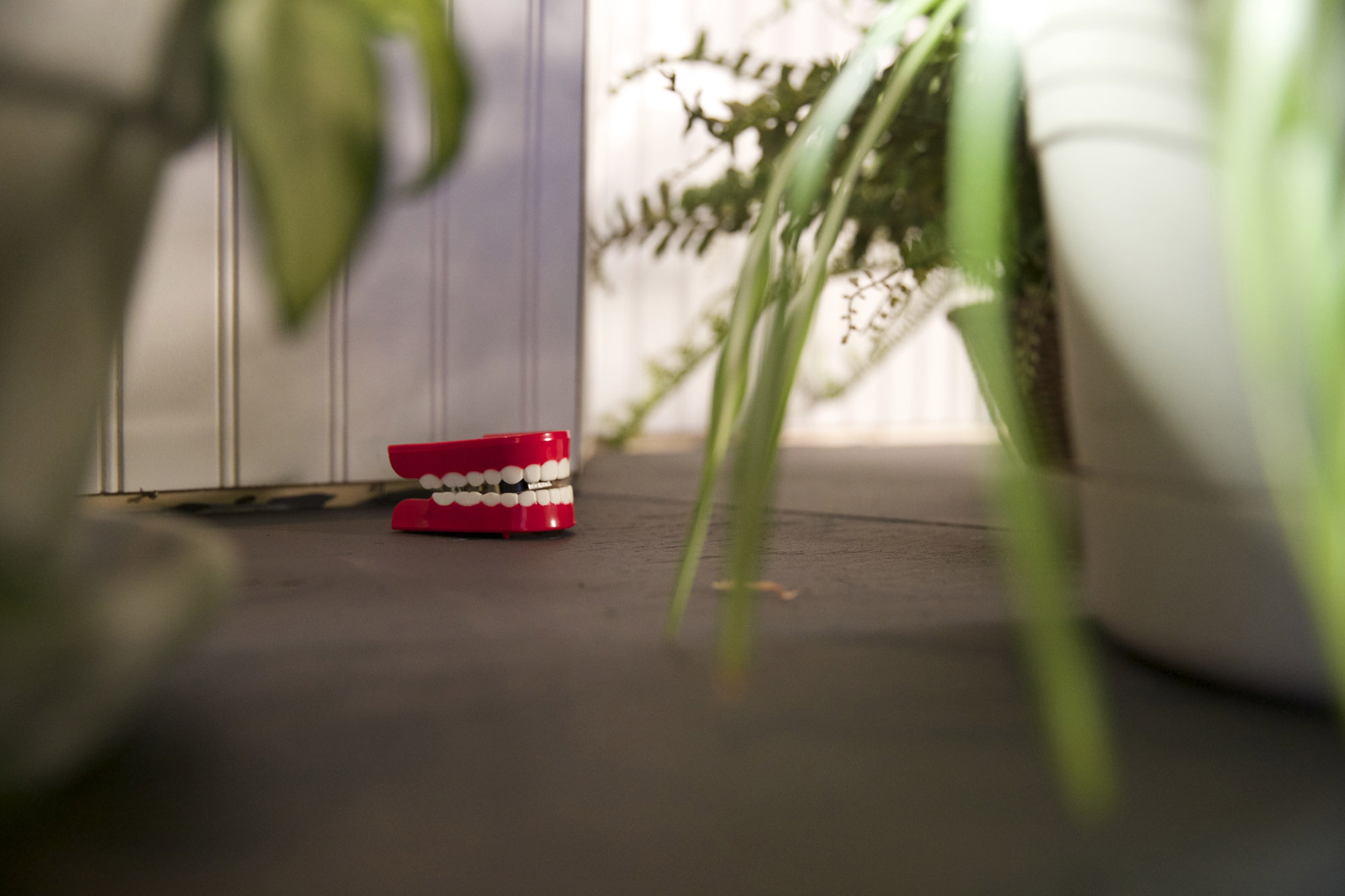 a pair of mechanical toy teeth on a gray floor surrounded by houseplants. 