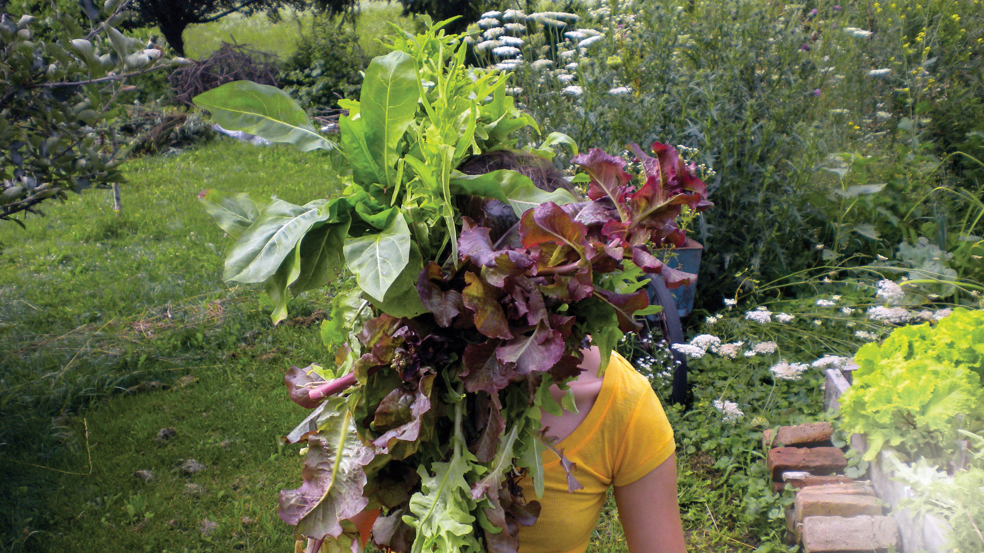 a woman with lettuce on her head
