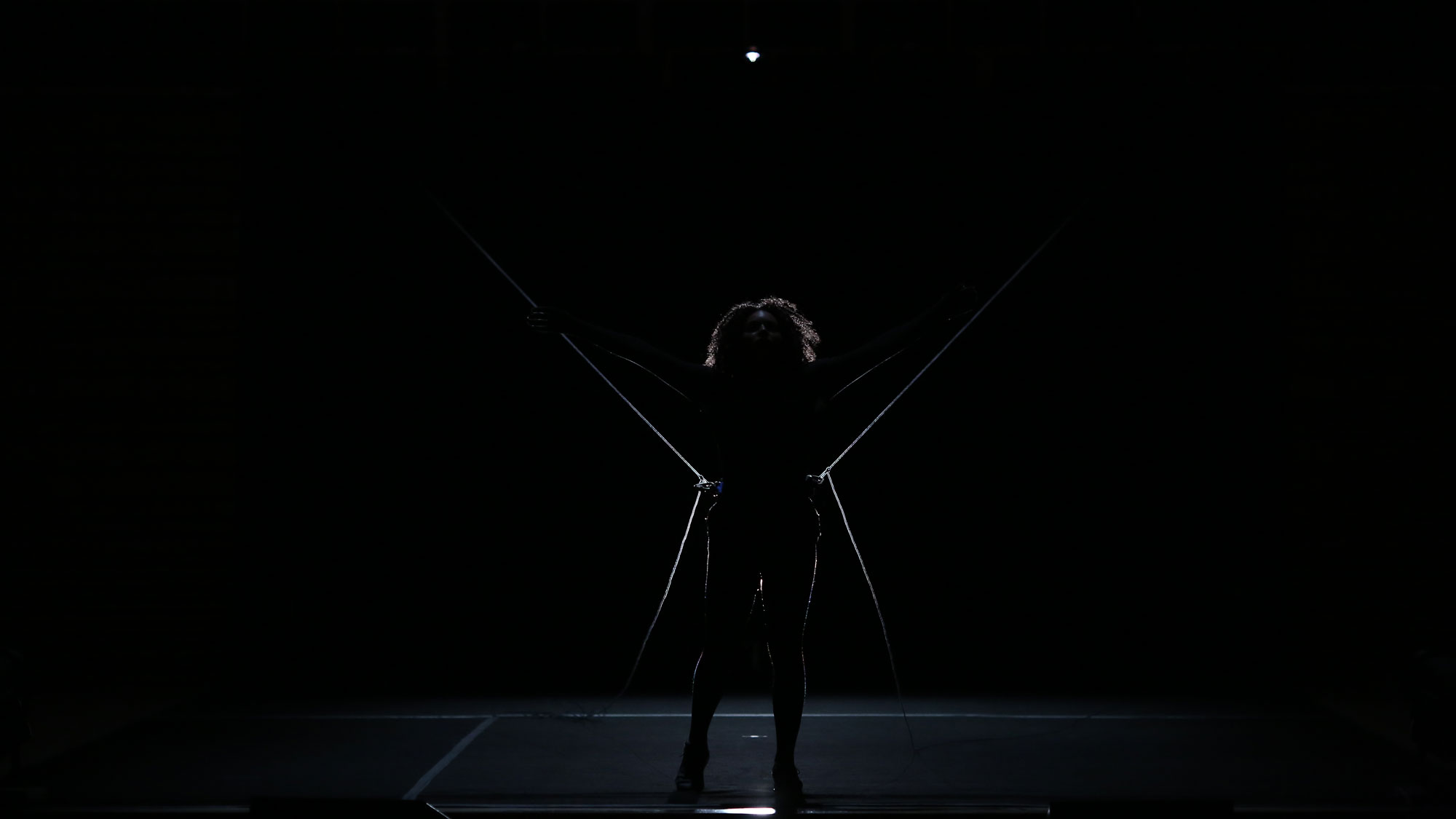 yara travesio silhouetted on a black stake. 