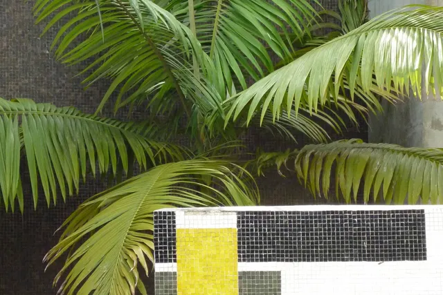 A palm against a grey tiled wall with a geometric tiled half wall in the foreground. 