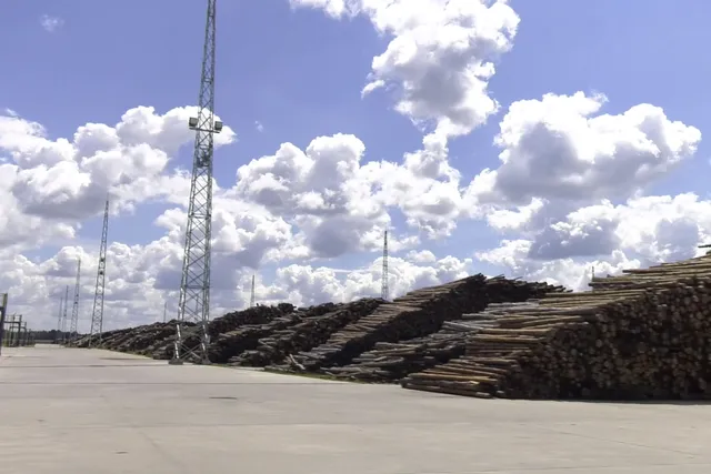 dozens of piles of hundreds of logs drying in a log yard