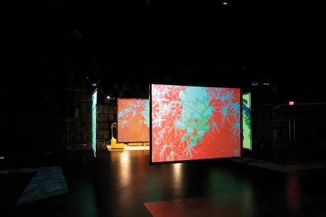 Multipel screens hung in a black box theater depicting red and teal asian inspired flowers. The screens are hung in such a way to create a compartmentalized space.