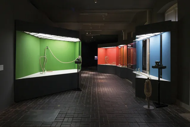 A hallway of seemingly empty museum exhibit cases, each with a green, blue, orange, or red background. 