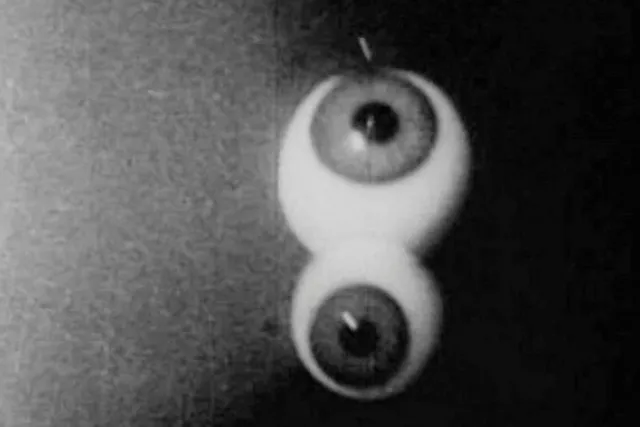 Black and white still of two horizontal eyeballs, with the top larger than the bottom. 