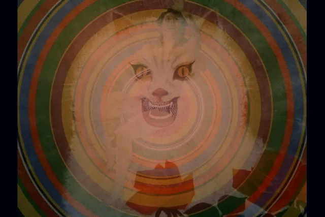 A rainbow bullseye with a cartoon cat and nude woman super imposed over top.