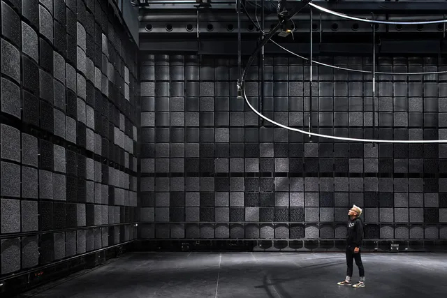 A man in a room full of black acoustic tiles with a rigging apparatus hanging above.