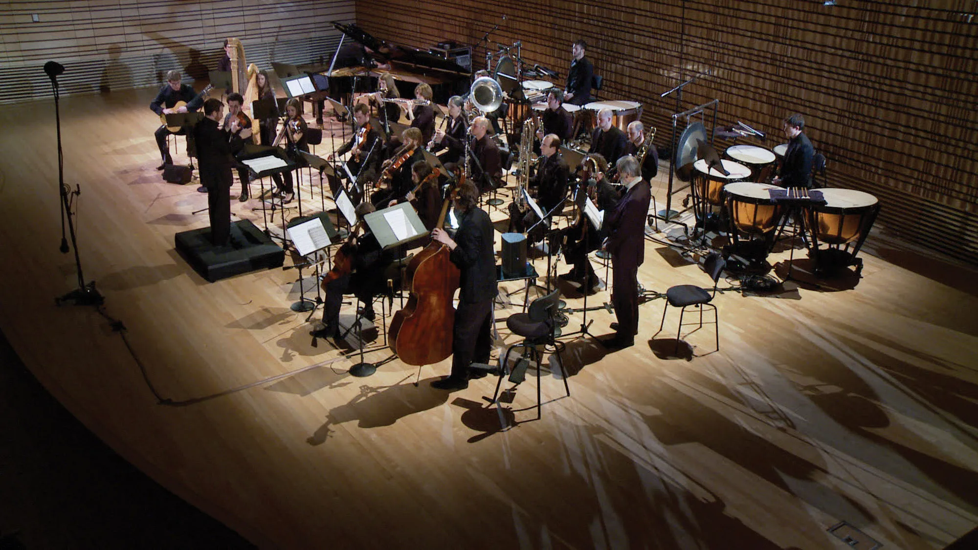 An orchestra dressed in black playing in the concert hall stage.